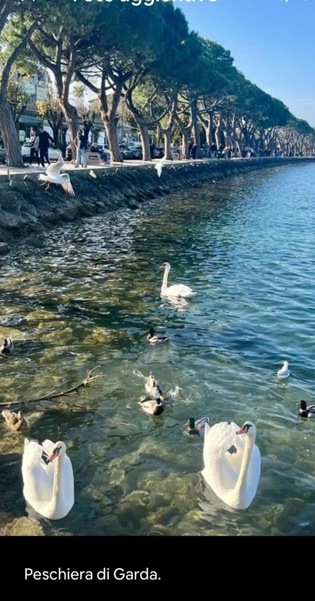 Corte Cavour Valeggio sul Mincio Bagian luar foto